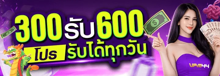 โปรโมชั่น vpm44